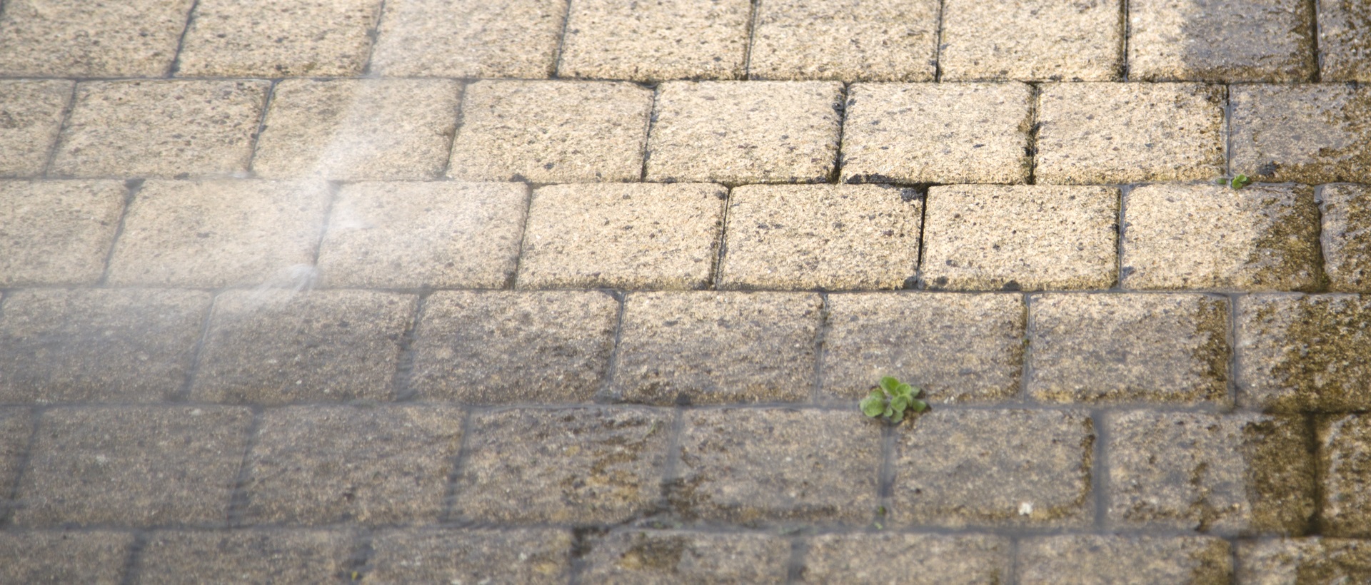 flagging and patios SW10